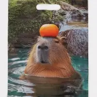 Пакет подарочный &laquo;Капибара&raquo;, полиэтиленовый с вырубной ручкой, 30&times;40 см 50 мкм