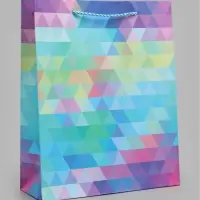 Пакет ламинированный &laquo;Лабиринт&raquo;, 26&times;32&times;10 см, разноцветный