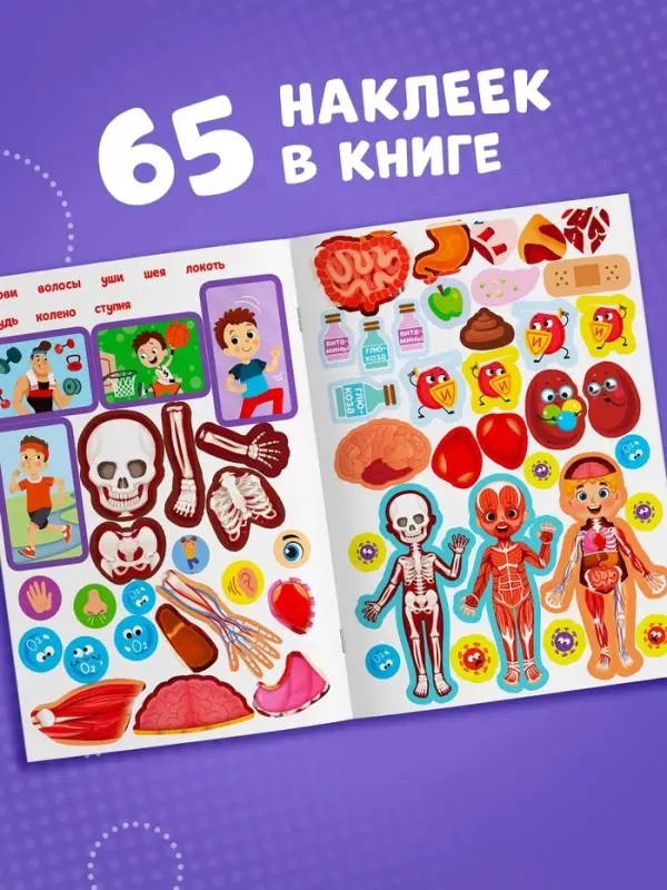 Наклейки &laquo;Как устроено моё тело&raquo;, 16 стр.