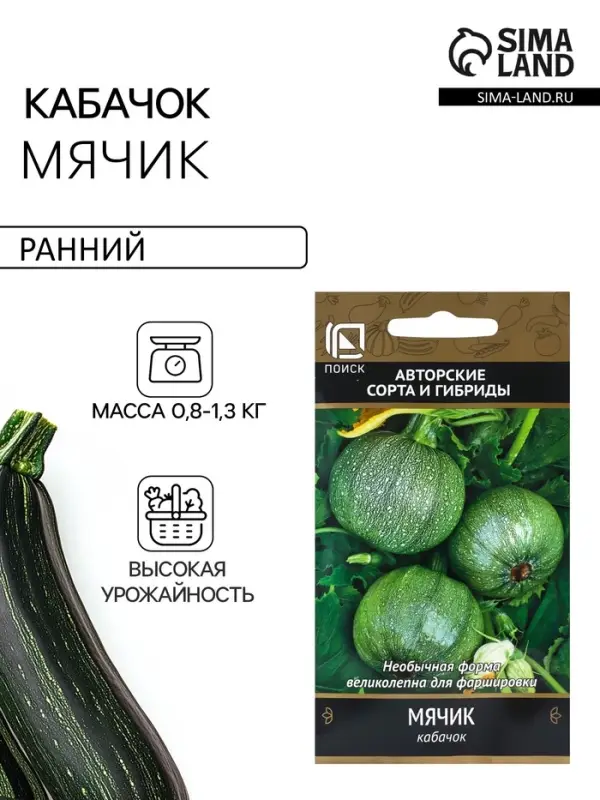 Семена Кабачок &laquo;Мячик&raquo;, 12 шт., &laquo;Поиск&raquo;