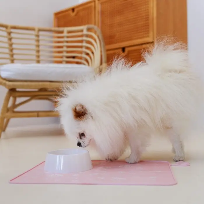 Миска пластиковая 300 мл, белая Миска пластиковая 300 мл, белая