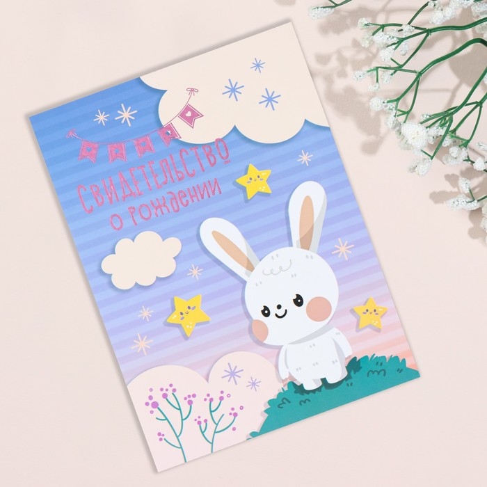 Свидетельство о рождении Свидетельство о рождении "Кролик" тиснение, облака А5