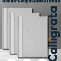 Набор папок-скоросшивателей А4, 5 штук, Calligrata, 180 мкм, с прозрачным верхом, серый