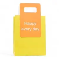 Пакет подарочный бумажный с вырубной ручкой 18&times;23&times;9 см, лайм