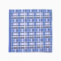 Платки носовые мужские Этель 30*30 см,(набор 12 шт,) цв. синий, рис. МИКС, 100% хл