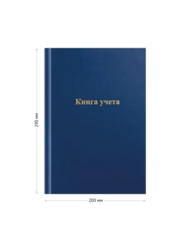 Книга учета, 192 листа, обложка бумвинил, блок газетный, клетка, синяя