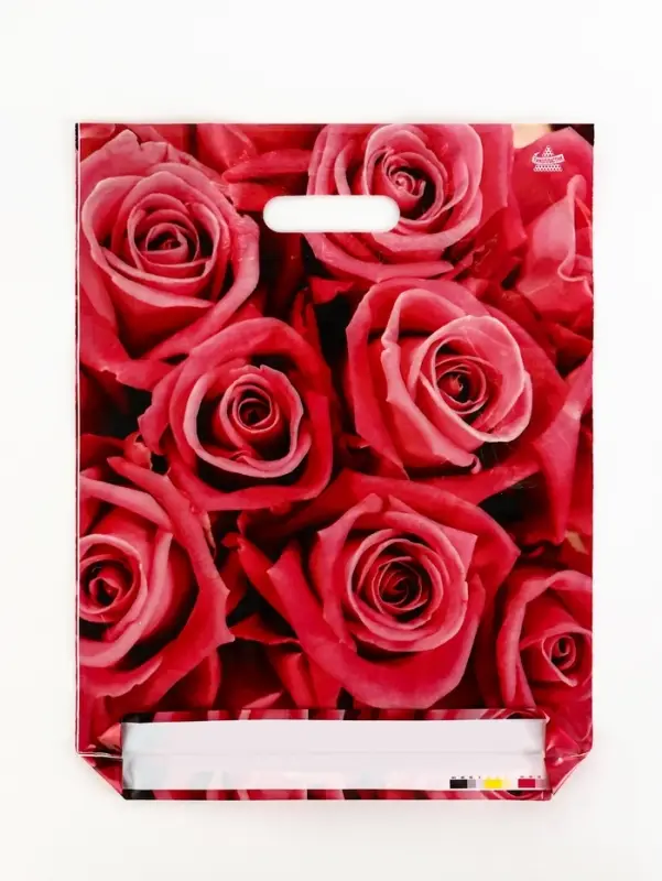 Пакет "Джейми", полиэтиленовый с вырубной ручкой, л 40х31 см, 60 мкм