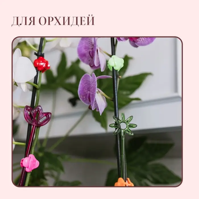 Опора для орхидей, h = 44 см, пластик, зелёная, МИКС Опора для орхидей, h = 44 см, пластик, зелёная, МИКС