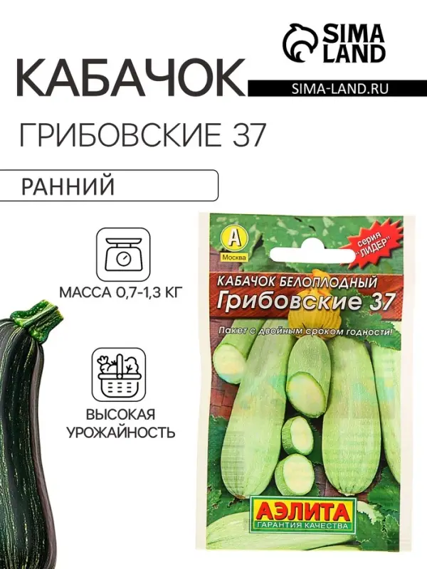 Семена Кабачок белоплодный &laquo;Грибовские 37&raquo;, 8 шт., &laquo;Аэлита&raquo;