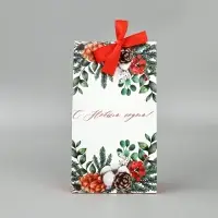 Набор новогодних пакетов &laquo;Новогодняя пора&raquo;