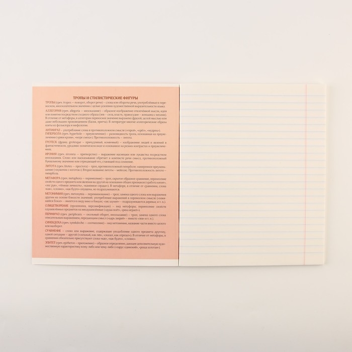 Набор тетрадей А5, 48 л "ПЕРСОНАЖИ" основные предметы