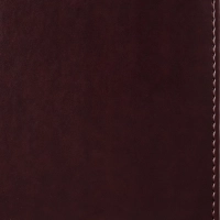 Ежедневник недатированный бордо,А5,142х210мм,176л,ATTACHE Каньон
