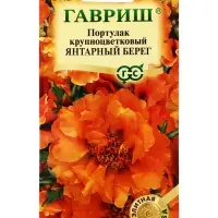 Семена цветов Портулак Янтарный берег* 0,01 г серия Элитная клумба