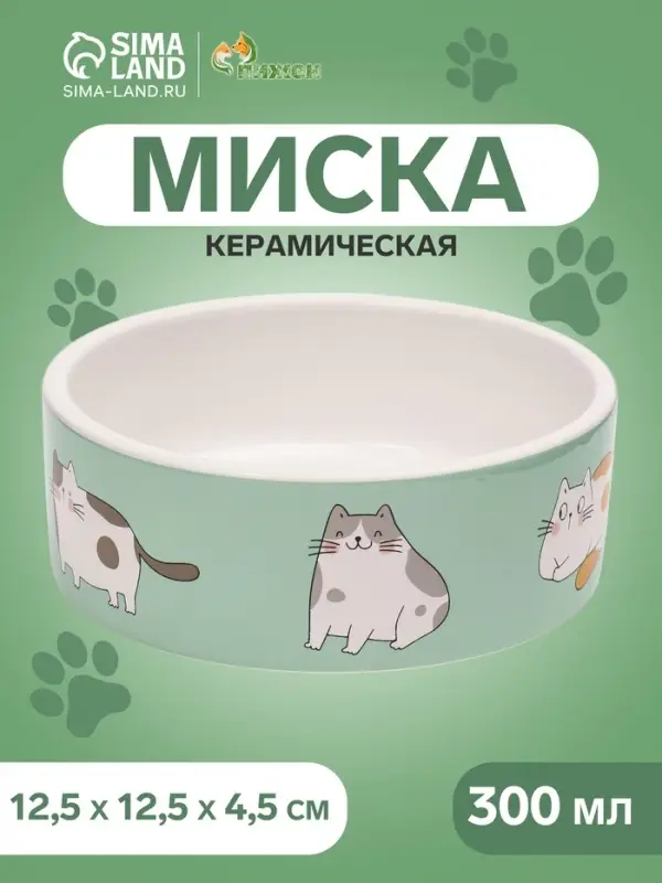 Миска &laquo;Котяры&raquo;, 300 мл, 12.5&times;12.5&times;4.5 см, керамика, зелёная, белая