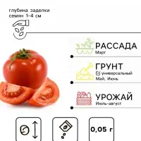 Семена томат &laquo;Сахарная Настасья&raquo;, детерминантный, среднерослый, 0.05 г