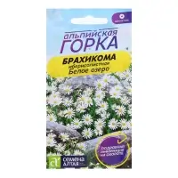Семена Брахикома "Белое озеро", ц/п, 0,05 гр. Семена Брахикома "Белое озеро", ц/п, 0,05 гр.