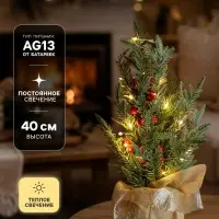 Фигура светодиодная &laquo;Сказочное сияние&raquo; 40 см, 20 LED, от батареек AG13&times;3 (в комплекте), свечение тёплое белое