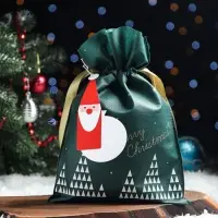 Мешок подарочный новогодний &laquo;Волшебный лес&raquo; зелёный, 20&times;30 см