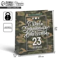 Пакет подарочный ламинированный, упаковка, &laquo;С 23 февраля&raquo;, ML 27&times;23&times;11.5 см