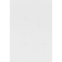 Набор для рисования Скетчинг акварелью Цветочные нежности, Рн-045