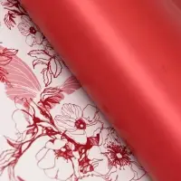 Пленка для цветов, "Романтичные моменты", винный, 57х57 см