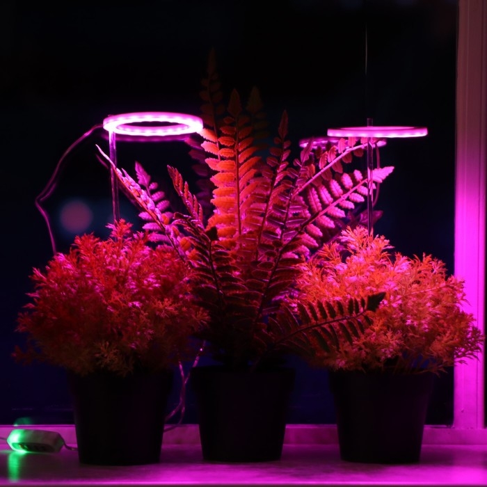 Фитосветильник светодиодный, 4 Вт, 5 В, в горшок, USB, мультиспектральный, 2 круга Фитосветильник светодиодный, 4 Вт, 5 В, в горшок, USB, мультиспектральный, 2 круга