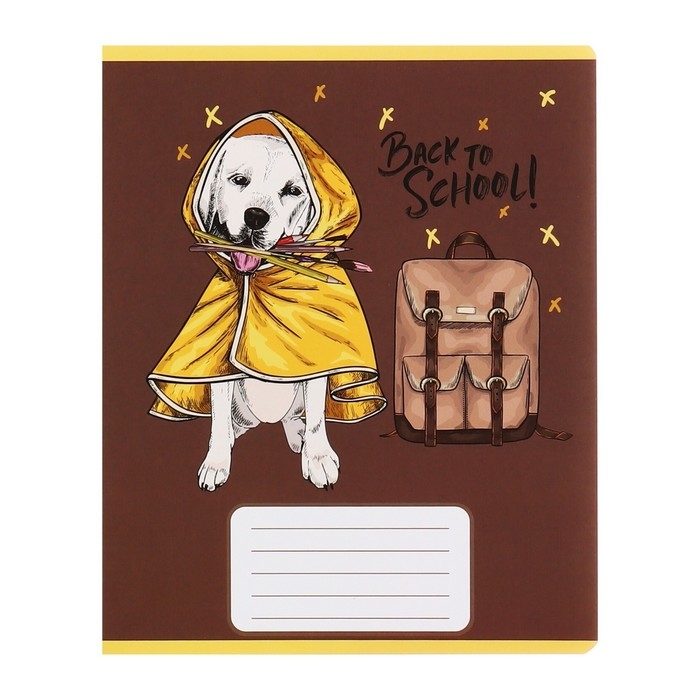 Комплект тетрадей из 10 штук, 12 листов в узкую линию Calligrata Комплект тетрадей из 10 штук, 12 листов в узкую линию Calligrata "Снова в школу", обложка мелованная бумага, ВД-лак, блок офсет, 5 видов по 2 штуки