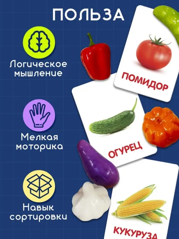 Обучающий набор по методике Г. Домана &laquo;Овощи&raquo;: 9 карточек + 9 овощей, счётный материал