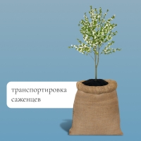 Мешок джутовый, 40 × 60 см, плотность 45 × 45 нитей, без завязок, Greengo