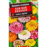 Семена цветов Цинния Бон-бон биколор, смесь сортов , Ц/П,0,3 г Семена цветов Цинния Бон-бон биколор, смесь сортов , Ц/П,0,3 г