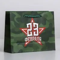 Пакет подарочный ламинированный, упаковка, «С 23 февраля», S 15 х 12 х 5.5 см