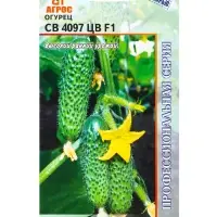 Семена Огурец, &laquo;СВ 4097 ЦВ&raquo;, F1, 8 шт., Seminis, &laquo;Агрос&raquo;