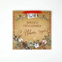 Набор новогодних пакетов &laquo;Верь в чудеса&raquo;