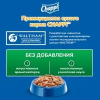Сухой корм Chappi для собак, с говядиной по-домашнему, 600 г Сухой корм Chappi для собак, с говядиной по-домашнему, 600 г