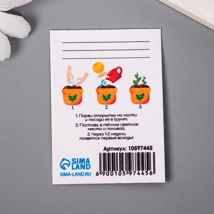 Набор открыток с семенами  Набор открыток с семенами "Вырасти сам" "Для вас" 5*7см 3 шт