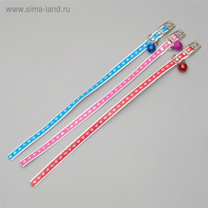 Ошейник из искусственной кожи с блестками, 32 х 1 см, микс цветов Ошейник из искусственной кожи с блестками, 32 х 1 см, микс цветов