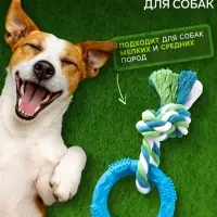 Игрушка жевательная с канатом &laquo;Кусочек солнца&raquo;, 8 см, голубая