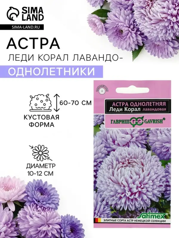 Семена цветов Астра &laquo;Леди Корал лавандовая&raquo;, однолетняя, 0.05 г, &laquo;Гавриш&raquo;