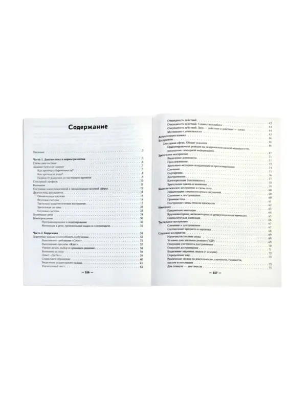 Запускаем речь у неговорящих детей. Диагностика и коррекция, от безречия до фразы. Кулькова Н. 11000