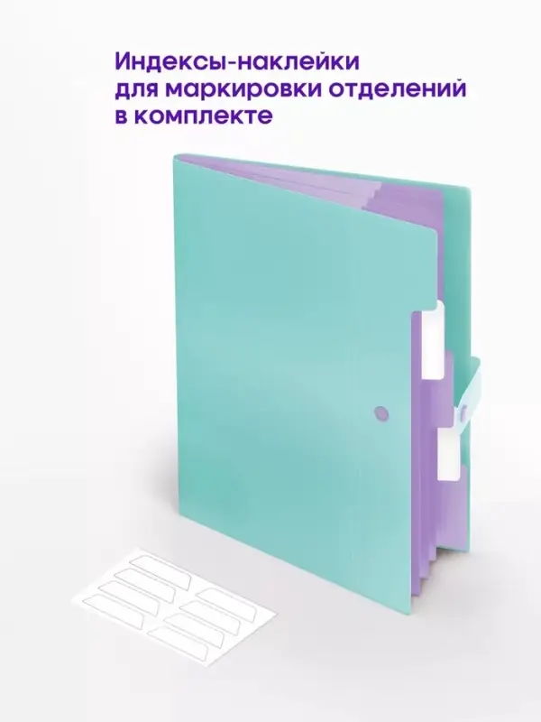 Папка А4, 5 отделений, Calligrata, 600 мкм, на кнопке, зеленая, матовая Папка А4, 5 отделений, Calligrata, 600 мкм, на кнопке, зеленая, матовая