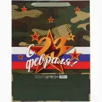 Пакет ламинированный &laquo;С 23 февраля!&raquo;, 31&times;40&times;11.5 см
