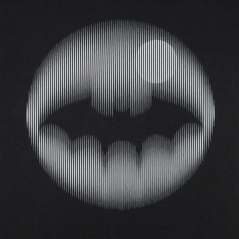 Футболка Letucci, черная, размер XS