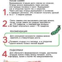 Семена Огурец &laquo;Китайские змеи&raquo;, 0.4 г, &laquo;Рецепты дедушки Никиты&raquo;