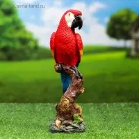 Садовая фигура из полистоуна &laquo;Красный ара на коряге&raquo;, 9.5&times;7&times;24 см