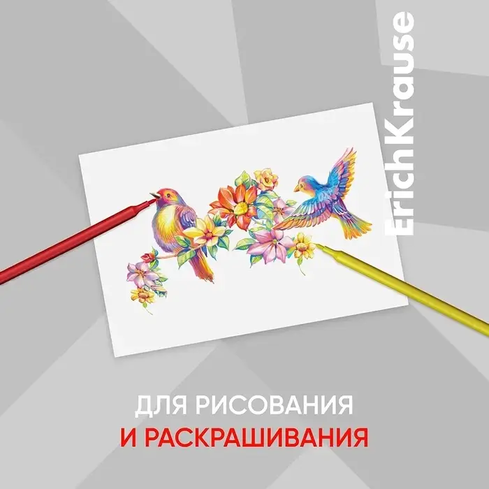 Фломастеры 12 цветов ErichKrause Basic, на водной основ, вентилируемый колпачок