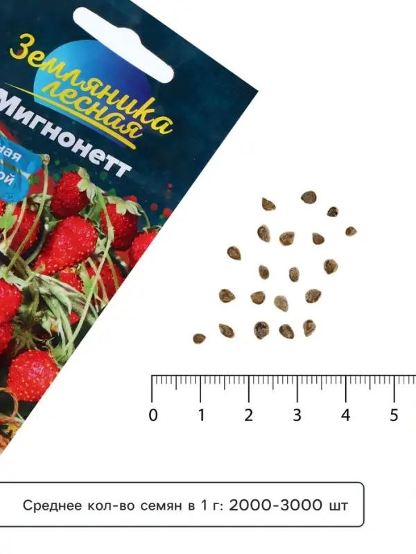 Семена Земляника &laquo;Мигнонетт&raquo;, ремонтантная, 5 шт., &laquo;Семена Алтая&raquo;