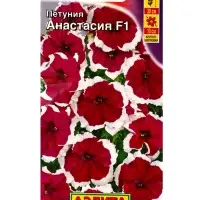 Семена цветов Петуния Анастасия F1 крупноцветковая (драже в пробирке), Ц/П,10 шт. Семена цветов Петуния Анастасия F1 крупноцветковая (драже в пробирке), Ц/П,10 шт.