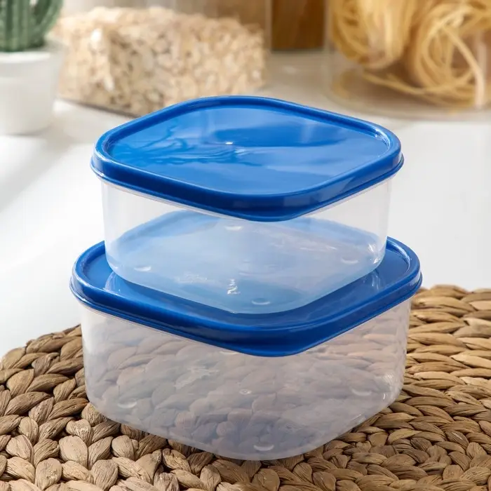 Набор контейнеров пищевых Доляна, квадратных, 2 шт: 450 мл, 700 мл, цвет голубой Набор контейнеров пищевых Доляна, квадратных, 2 шт: 450 мл, 700 мл, цвет голубой