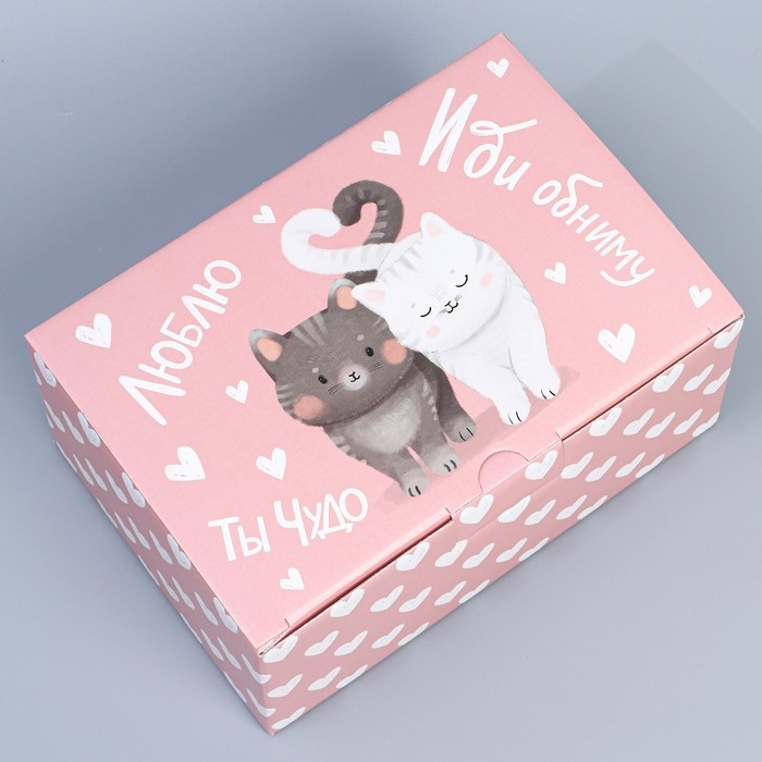 Коробка подарочная сборная, упаковка, «Иди обниму», 22 х 15 х 10 см