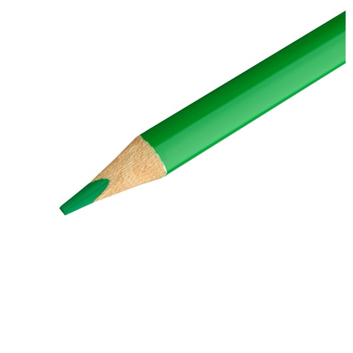 Карандаши 24 цвета Мульти-Пульти  Карандаши 24 цвета Мульти-Пульти "Друзья енота", трёхгранные, заточенные, в тубусе